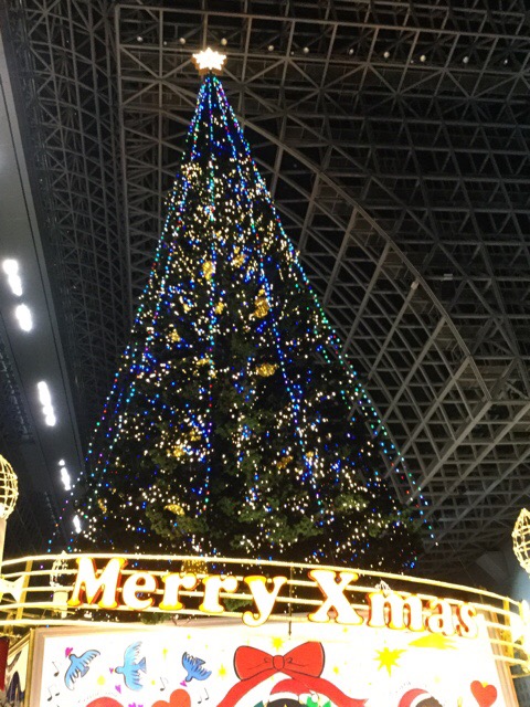 f:id:nekozanaruri:20171207204713j:plain