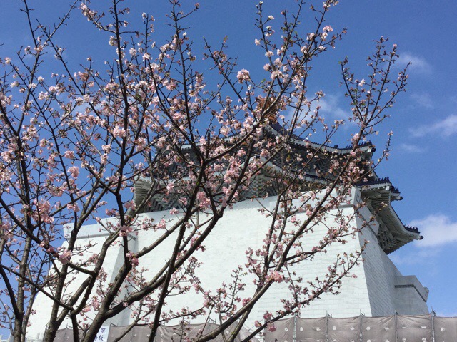 f:id:nekozanaruri:20180302025338j:plain