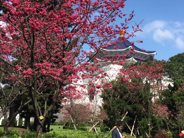 f:id:nekozanaruri:20180302025404j:plain