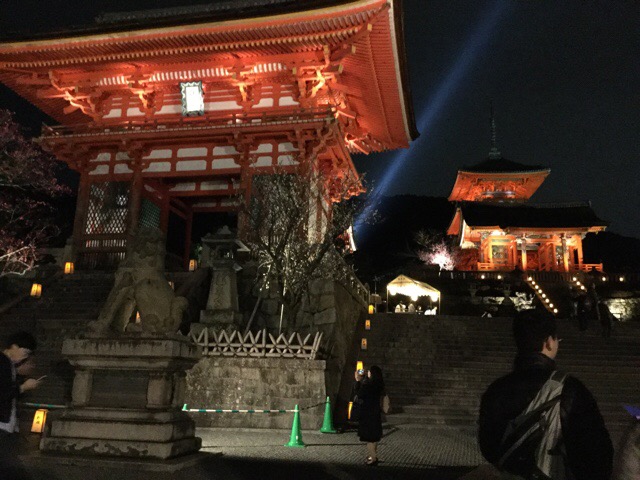 f:id:nekozanaruri:20180310013117j:plain
