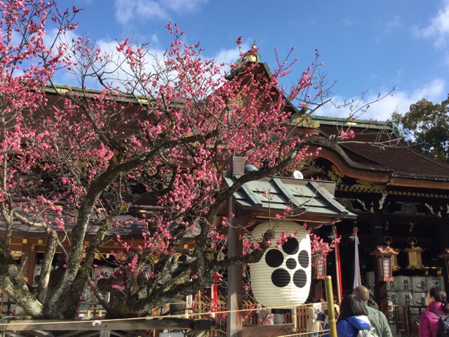 f:id:nekozanaruri:20180310192055j:plain