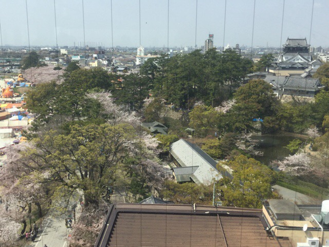 f:id:nekozanaruri:20180402001026j:plain