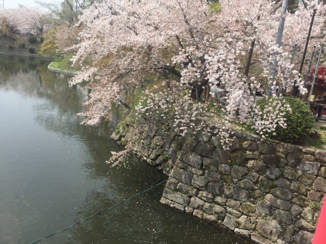 f:id:nekozanaruri:20180402005333j:plain