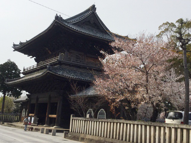 f:id:nekozanaruri:20180402005919j:plain
