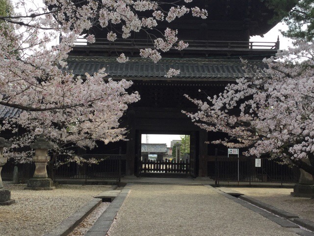 f:id:nekozanaruri:20180402011408j:plain