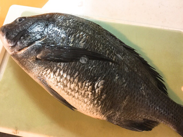 f:id:nekozanaruri:20180405213142j:plain