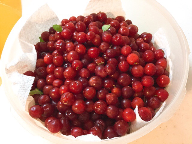 f:id:nekozanaruri:20180606020118j:plain f:id:nekozanaruri:20180606020118j:plain