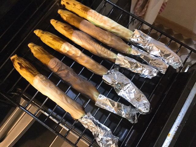f:id:nekozanaruri:20180702221913j:plain
