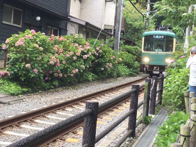 f:id:nekozanaruri:20180705232109j:plain