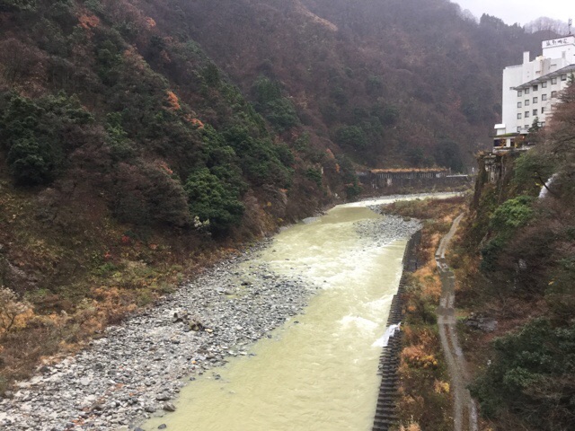 f:id:nekozanaruri:20181206000917j:plain