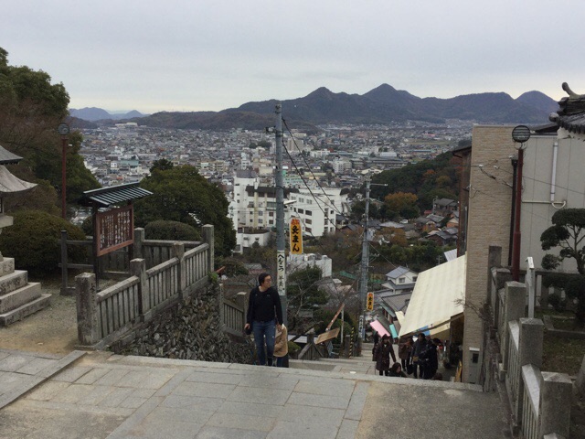 f:id:nekozanaruri:20181211233014j:plain
