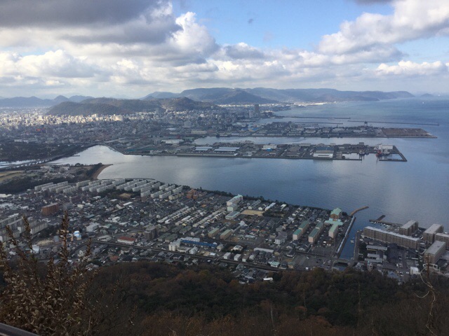f:id:nekozanaruri:20181213202931j:plain