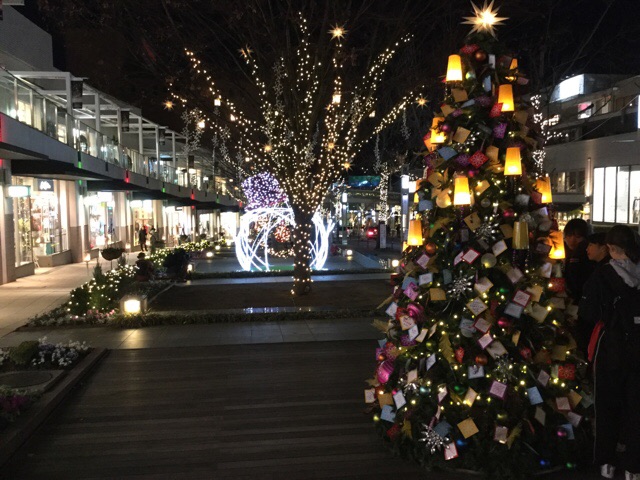 f:id:nekozanaruri:20181223223317j:plain