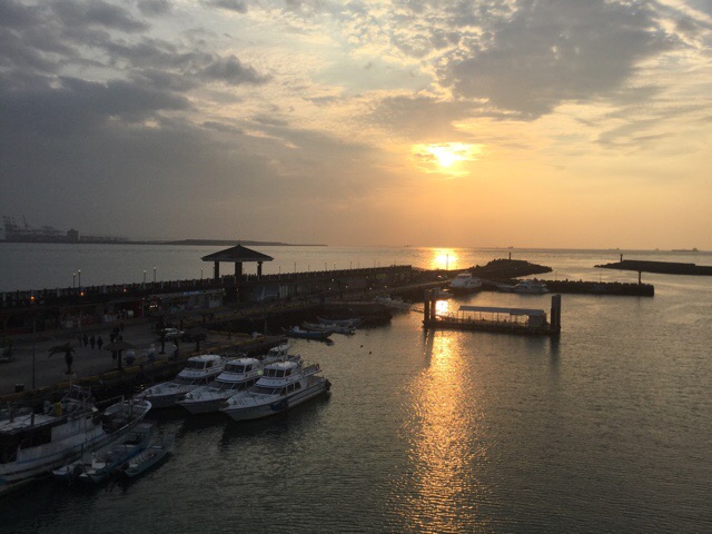 f:id:nekozanaruri:20190312023813j:plain