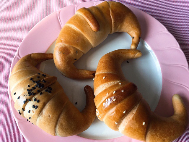 f:id:nekozanaruri:20190317005237j:plain