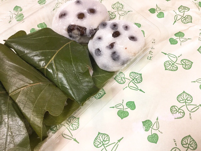 f:id:nekozanaruri:20190516235825j:plain