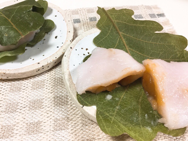 f:id:nekozanaruri:20190517000244j:plain
