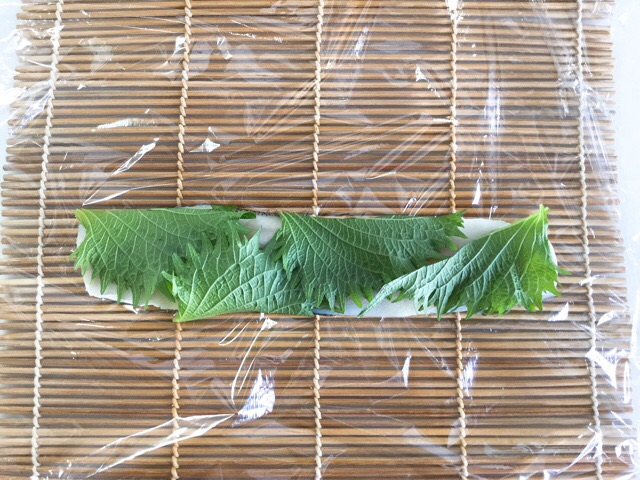 f:id:nekozanaruri:20190529222028j:plain