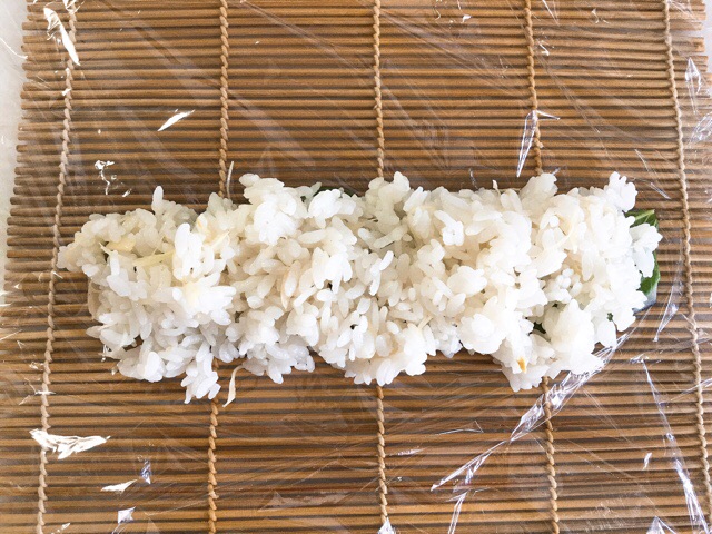 f:id:nekozanaruri:20190529222755j:plain