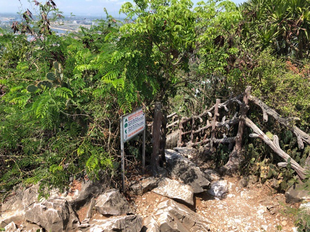 f:id:nekozanaruri:20190607004330j:plain f:id:nekozanaruri:20190607004330j:plain