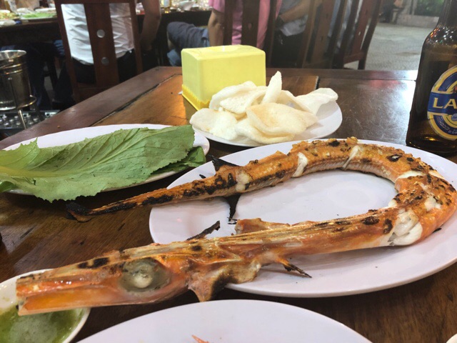 f:id:nekozanaruri:20190607084352j:plain f:id:nekozanaruri:20190607084352j:plain