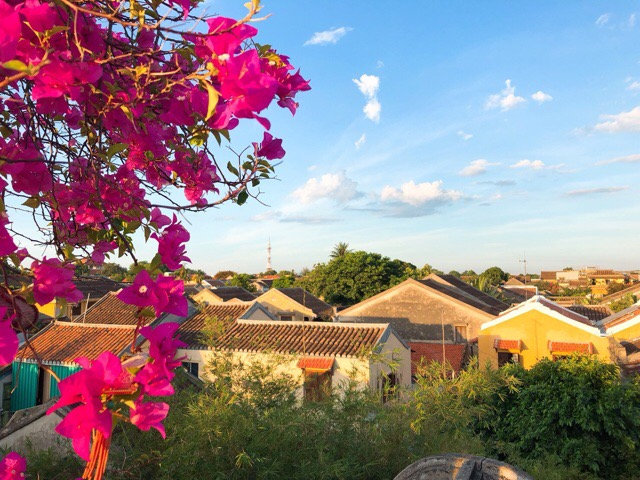 f:id:nekozanaruri:20190613024602j:plain