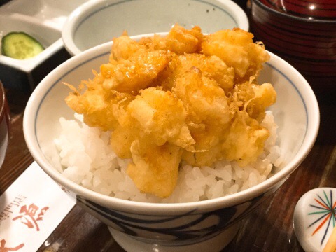 f:id:nekozanaruri:20190627161623j:plain