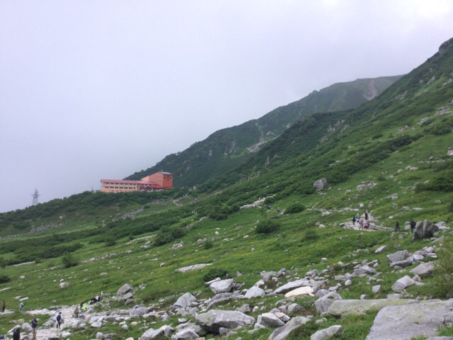 f:id:nekozanaruri:20190803100109j:plain