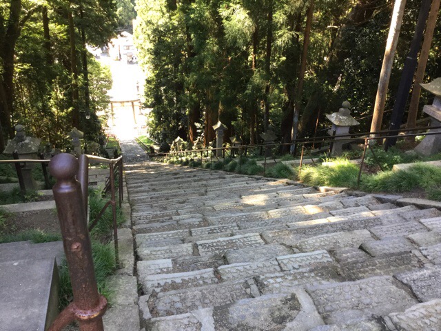 f:id:nekozanaruri:20190917235721j:plain