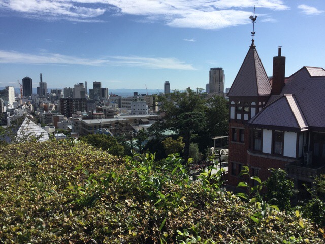 f:id:nekozanaruri:20190925223933j:plain