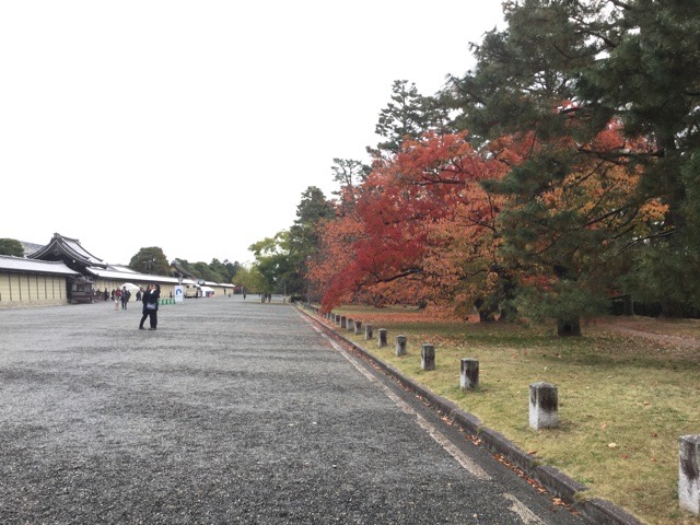 f:id:nekozanaruri:20191129010443j:plain