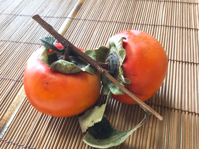 f:id:nekozanaruri:20191209233050j:plain