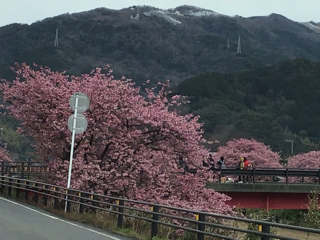 f:id:nekozanaruri:20200216015055j:plain