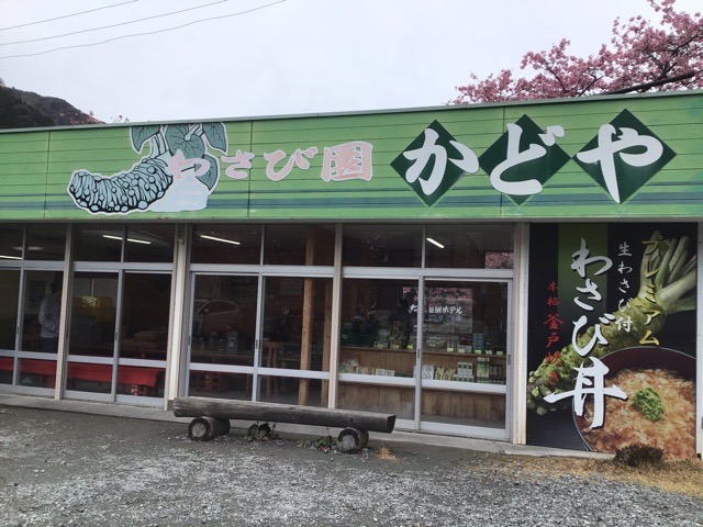 f:id:nekozanaruri:20200216020209j:plain