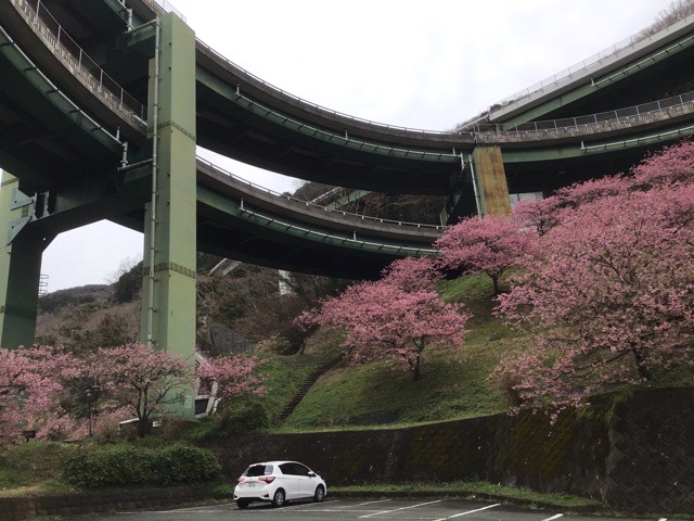 f:id:nekozanaruri:20200216022124j:plain