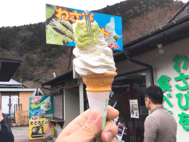 f:id:nekozanaruri:20200216022643j:plain