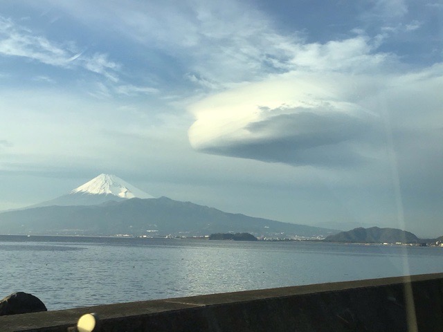 f:id:nekozanaruri:20200216023701j:plain