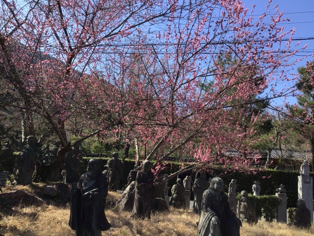 f:id:nekozanaruri:20200222001345j:plain f:id:nekozanaruri:20200222001345j:plain