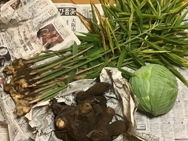 f:id:nekozanaruri:20201111234126j:plain