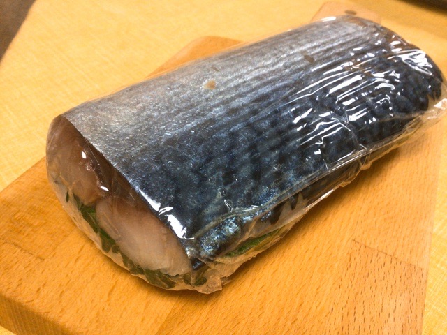 f:id:nekozanaruri:20201210213538j:plain