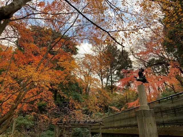 f:id:nekozanaruri:20201211232633j:plain