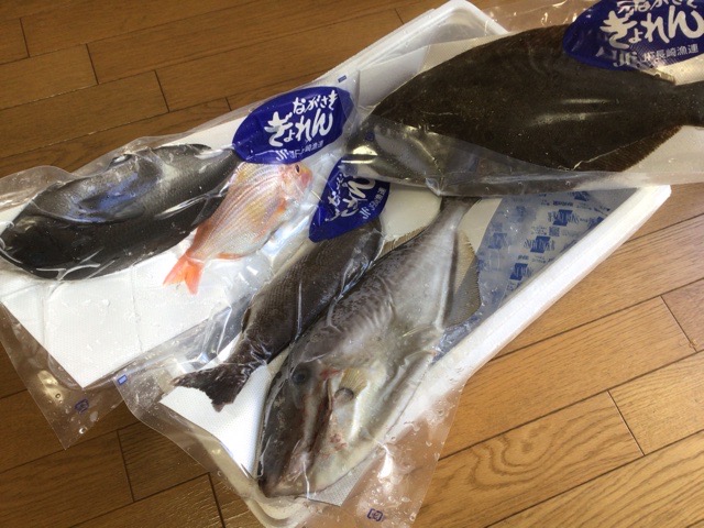 f:id:nekozanaruri:20210228010134j:plain