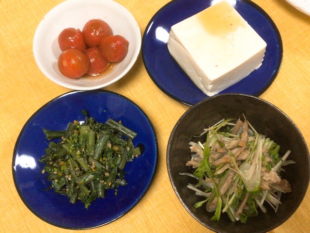 f:id:nekozanaruri:20210228011347j:plain