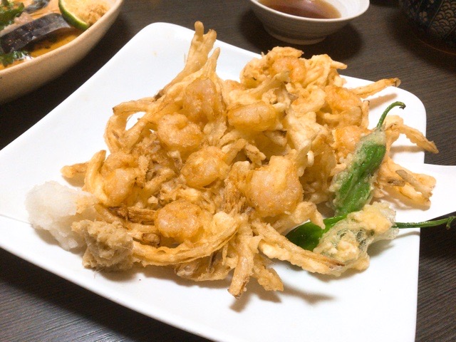 f:id:nekozanaruri:20210331225332j:plain