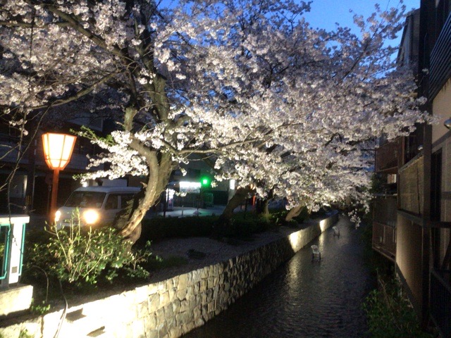 f:id:nekozanaruri:20210331230440j:plain