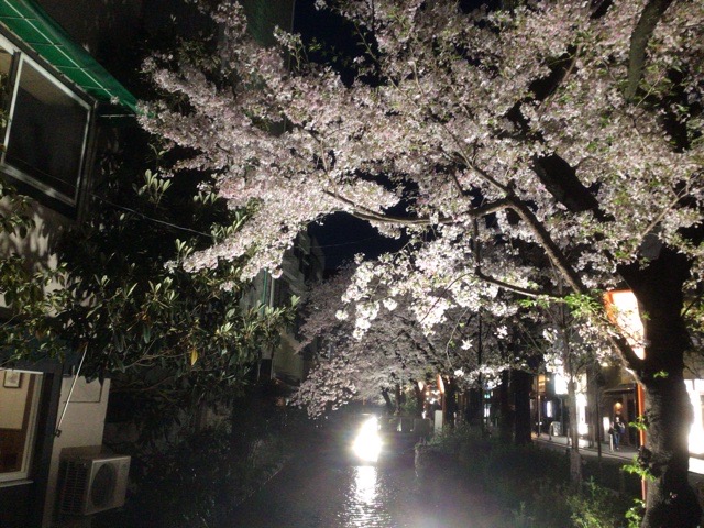 f:id:nekozanaruri:20210331230502j:plain