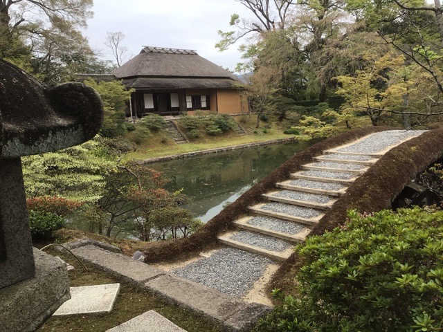f:id:nekozanaruri:20210404003927j:plain