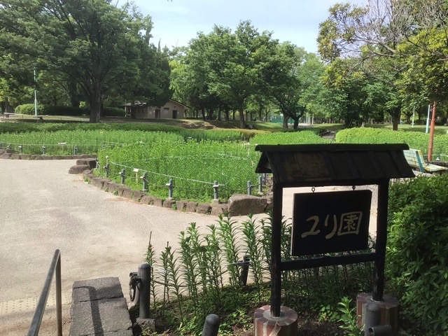f:id:nekozanaruri:20210511232659j:plain