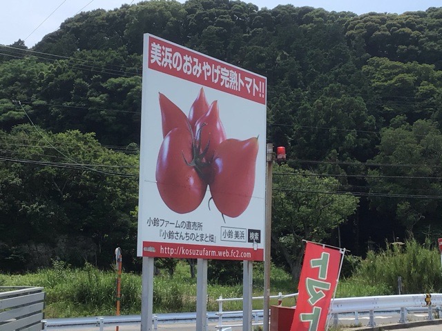f:id:nekozanaruri:20210609234011j:plain