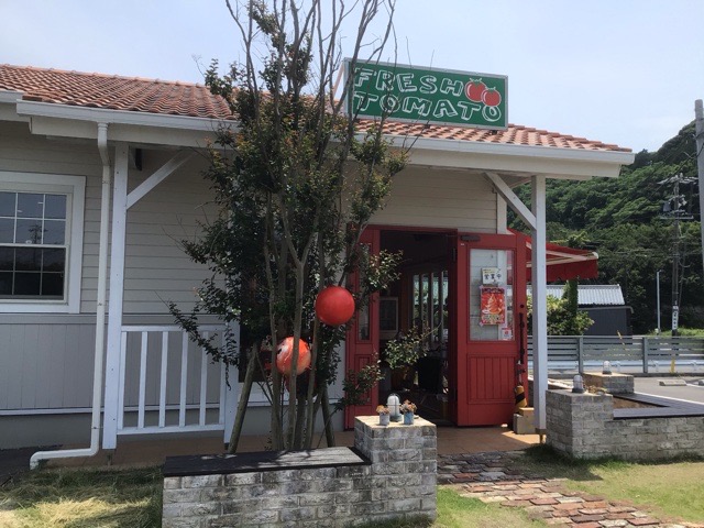 f:id:nekozanaruri:20210609234249j:plain